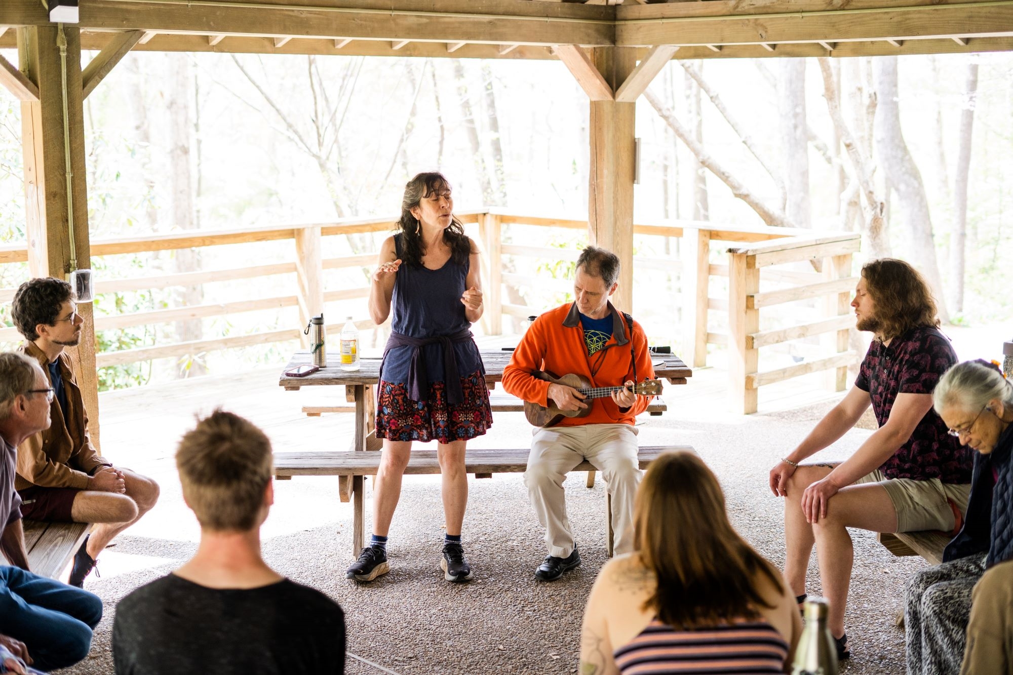 advancing the arts grant